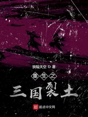 重生之三国裂土
