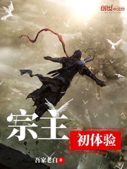 宗主初体验