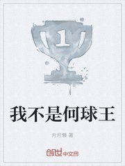 我不是何球王