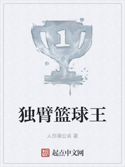 独臂篮球王
