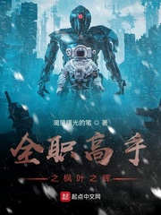 全职高手之枫叶之辉