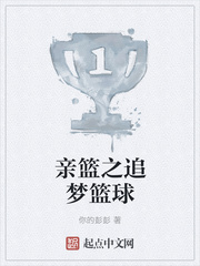 亲篮之追梦篮球