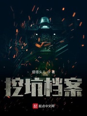 挖坑档案