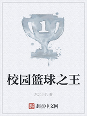 校园篮球之王