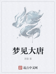 梦见大唐