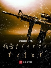 代号fiercetiger