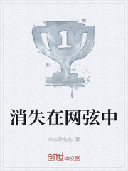 消失在网弦中