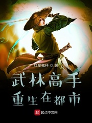 武林高手重生在都市