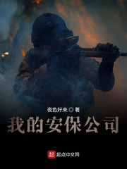 我的安保公司