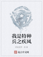 我是特种兵之疾风