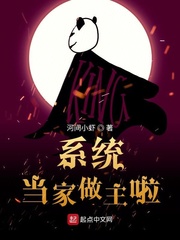 系统当家做主啦