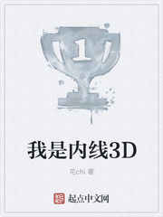 我是内线3D