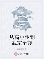 从高中生到武宗至尊