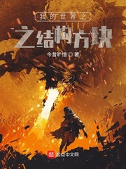我的世界之结构方块