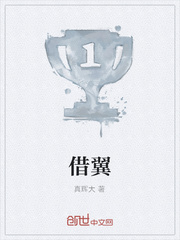 借翼