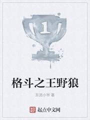 格斗之王野狼