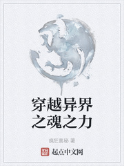 穿越异界之魂之力