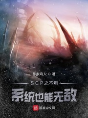 SCP之不用系统也能无敌
