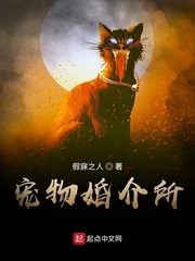 宠物婚介所