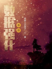 数据强化系统