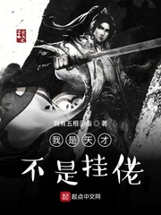 我是天才不是挂佬