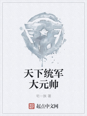 天下统军大元帅