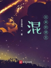 混出来的领主