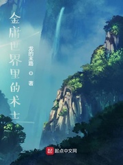 金庸世界里的术士