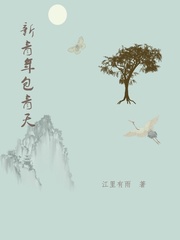 追凶秘录之青年包拯