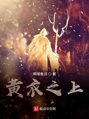 黄衣之上