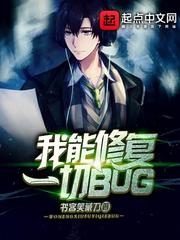 不能把bug修复吗