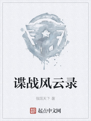 谍战风云录