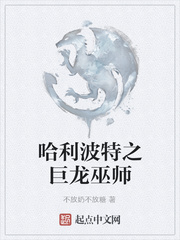 哈利波特之巨龙巫师
