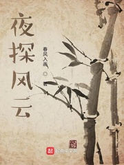 夜探风云