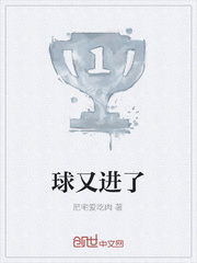 球又进了