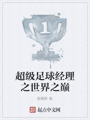 超级足球经理之世界之巅