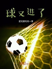 球又进了之我的足球人生