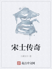 宋士传奇