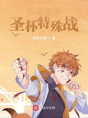 二次元之圣杯特殊战