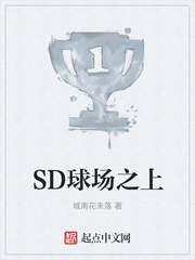 SD球场之上