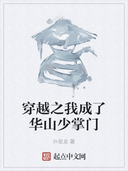 穿越之我成了华山少掌门
