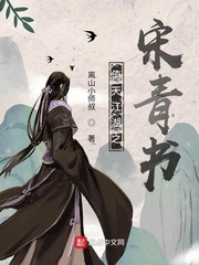 倚天江湖之宋青书