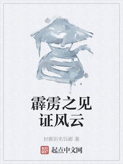 霹雳之见证风云
