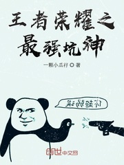 王者荣耀之最强坑神