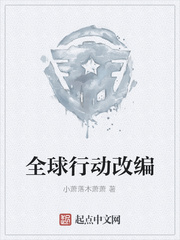全球行动改编