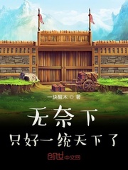 无奈下只好一统天下了