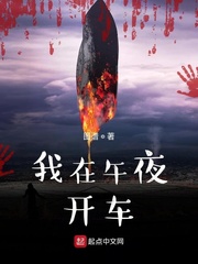 我在午夜开车