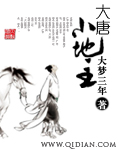 大唐小地主