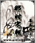 那时宋朝