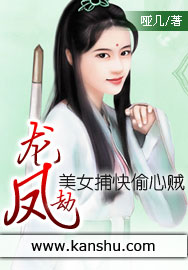偷龙窃凤